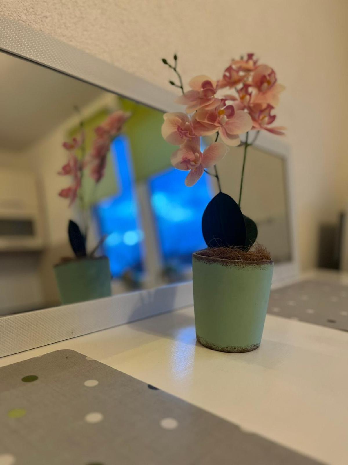 Lovely Apartment In Old Town 400M From City Center Sebilj 塞拉耶佛 外观 照片