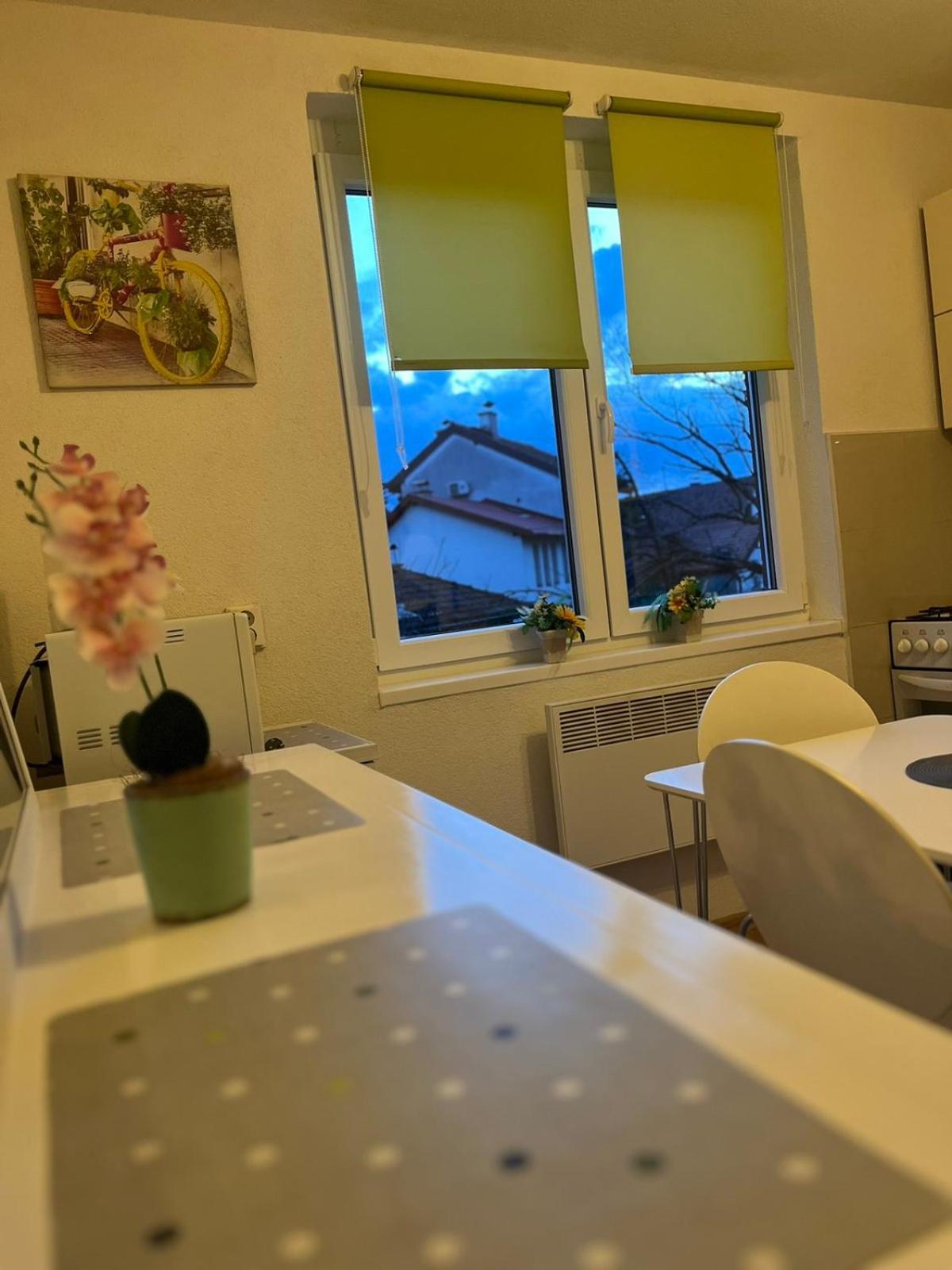 Lovely Apartment In Old Town 400M From City Center Sebilj 塞拉耶佛 外观 照片