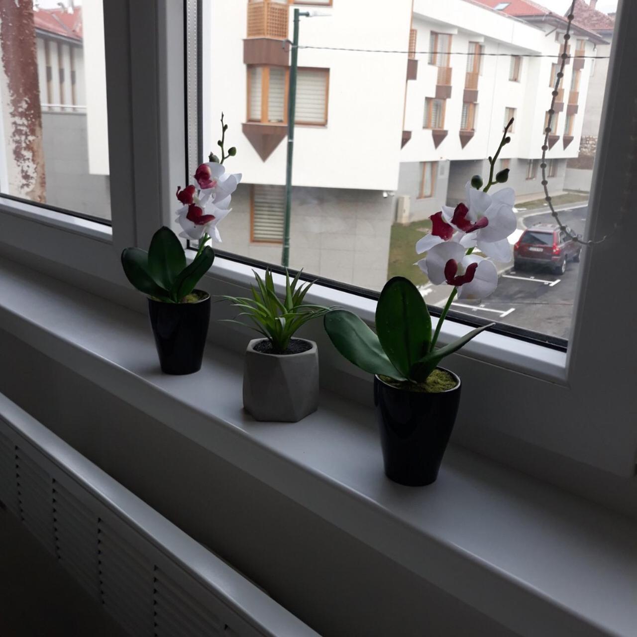 Lovely Apartment In Old Town 400M From City Center Sebilj 塞拉耶佛 外观 照片